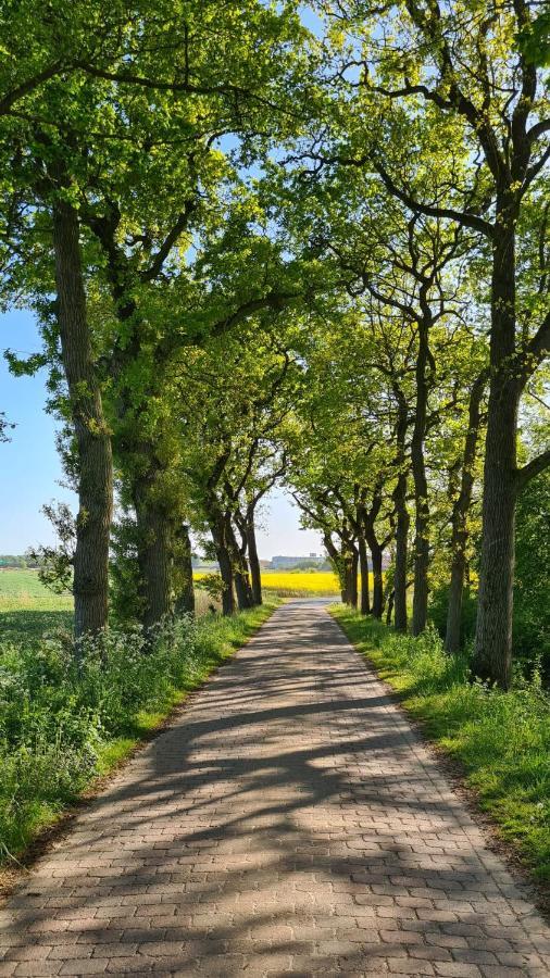 Ferienwohnung Baltrum Auf Dem Elisenhof Hagermarsch المظهر الخارجي الصورة