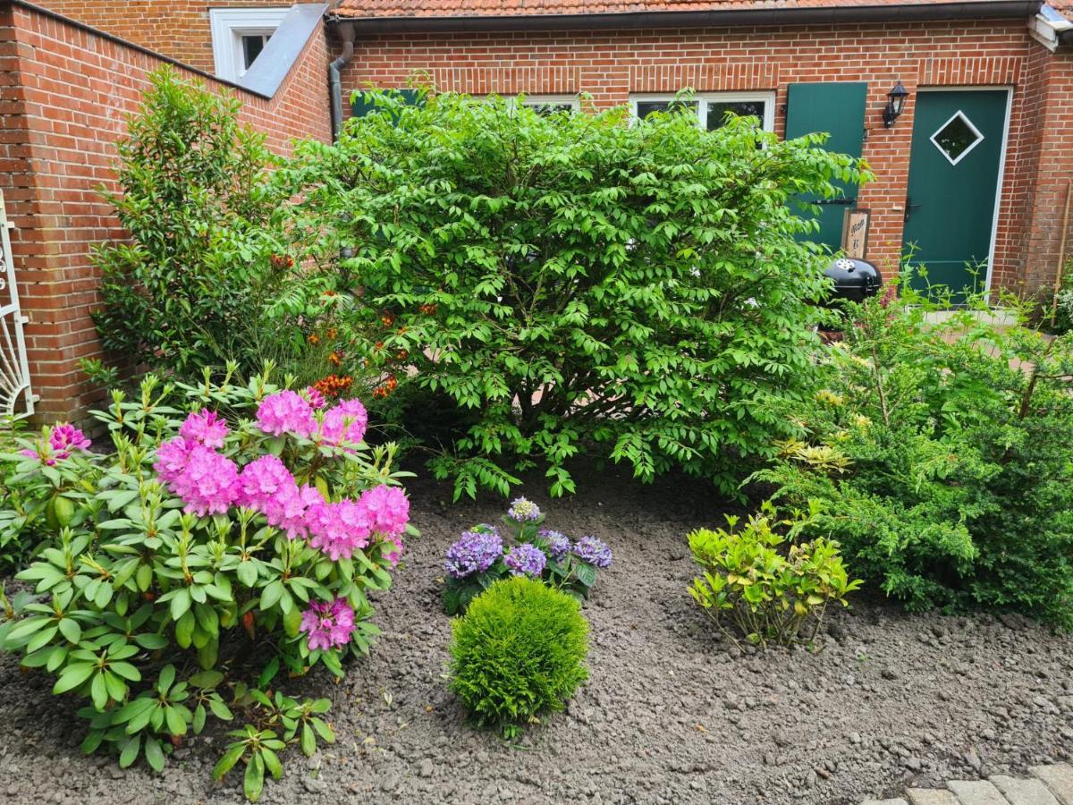 Ferienwohnung Baltrum Auf Dem Elisenhof Hagermarsch المظهر الخارجي الصورة